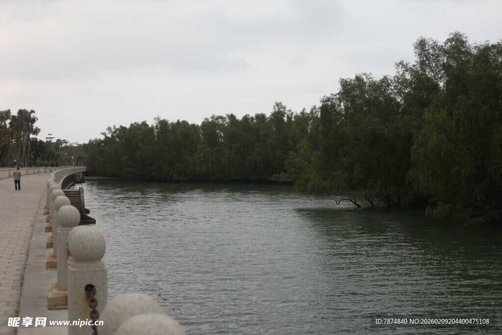 河边垂钓者与茂密树林