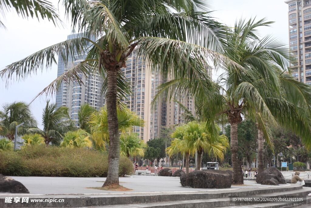 城市中的热带风情景观