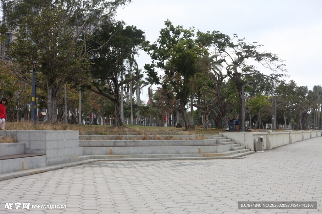 城市开阔广场与周边树木
