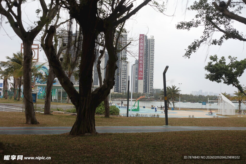 城市公园中的树木与建筑