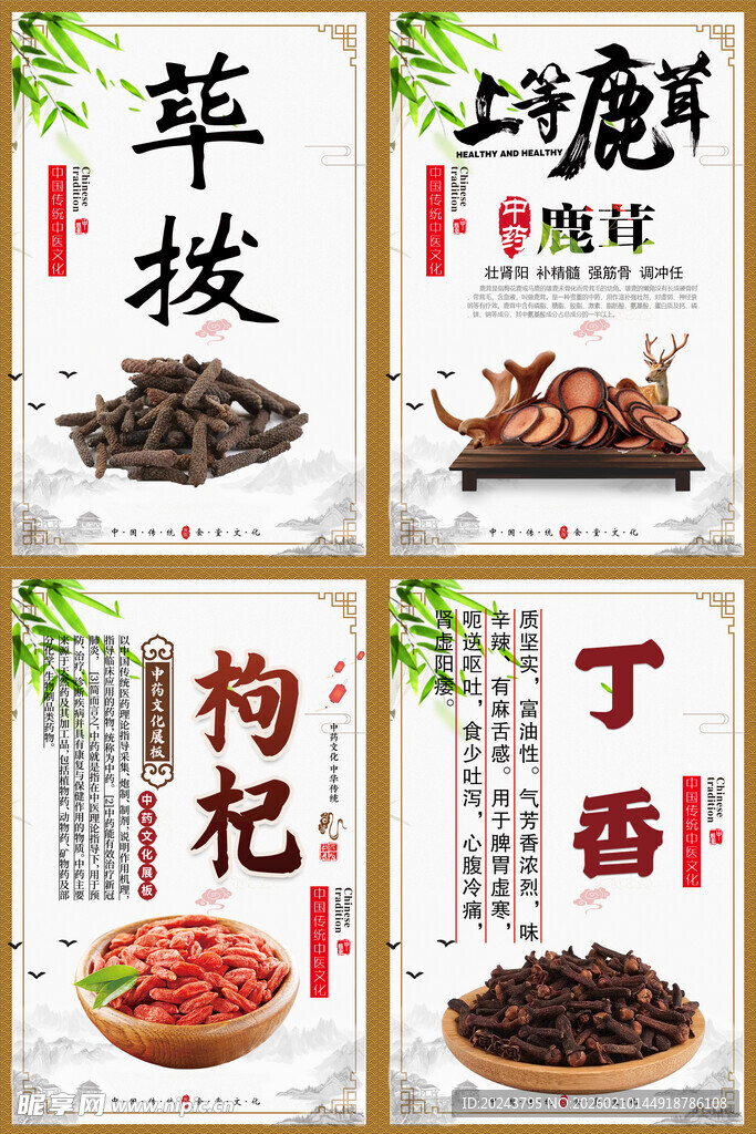 传统中药材展示