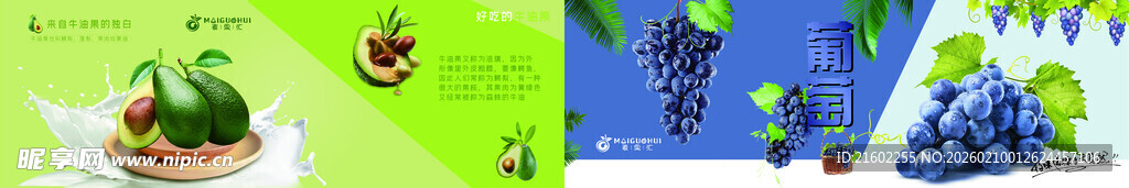 牛油果 紫色葡萄