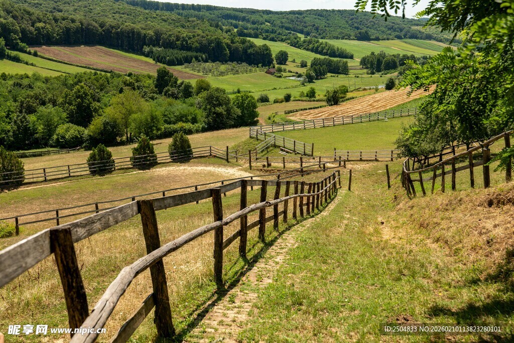 乡村木栏旁的绿意风景