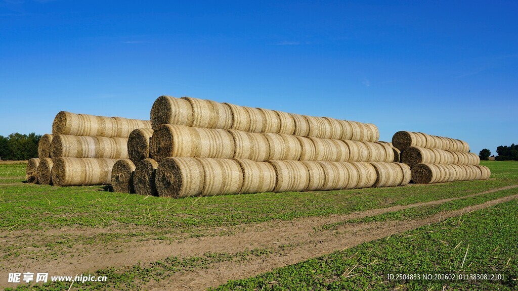 田野上的巨大干草堆