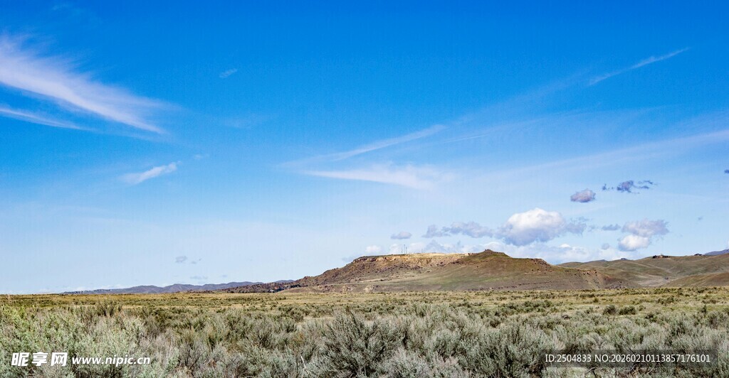 广袤原野上的蓝天与植被
