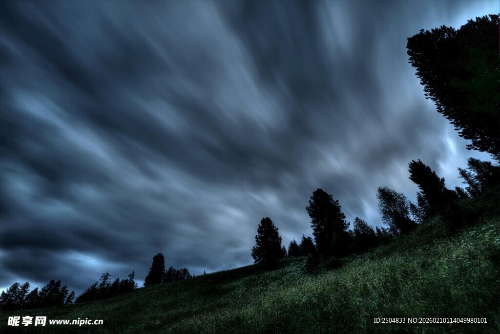 夜幕下的草地与树木景观
