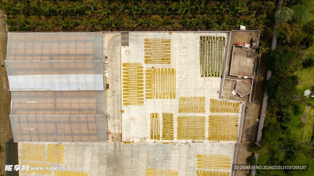 屋顶晾晒的农作物场景