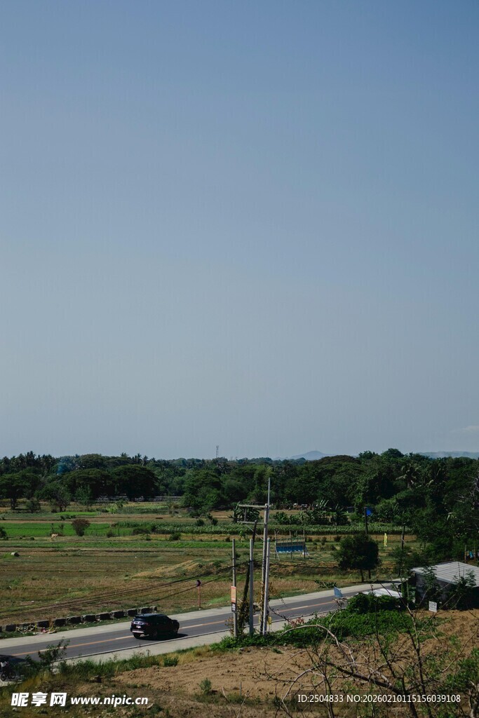 乡村公路旁的开阔田野景色