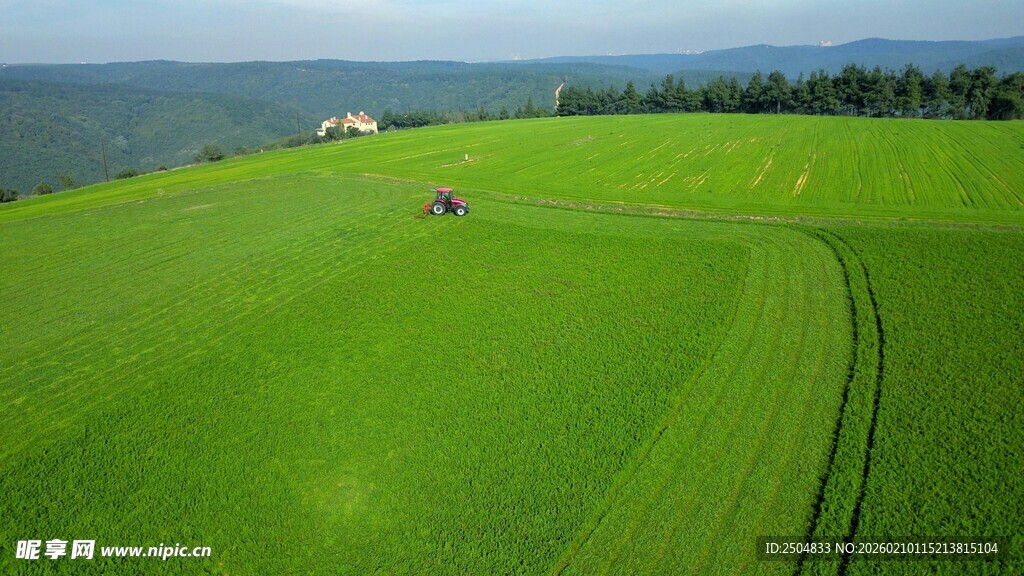广袤绿草地与远处湖景