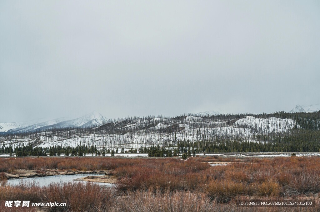 冬日雪覆山丘景观