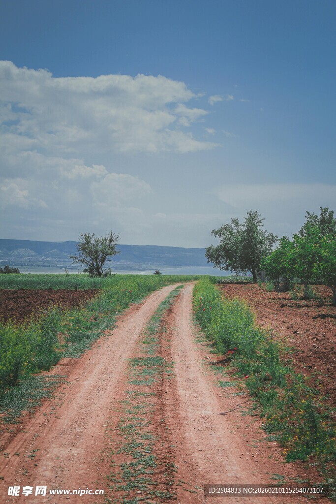 乡间土路通向远方风景