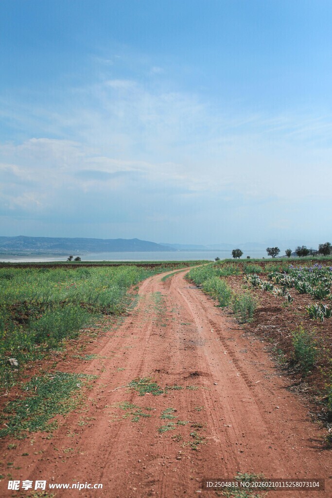乡间红土路 旷野好风光