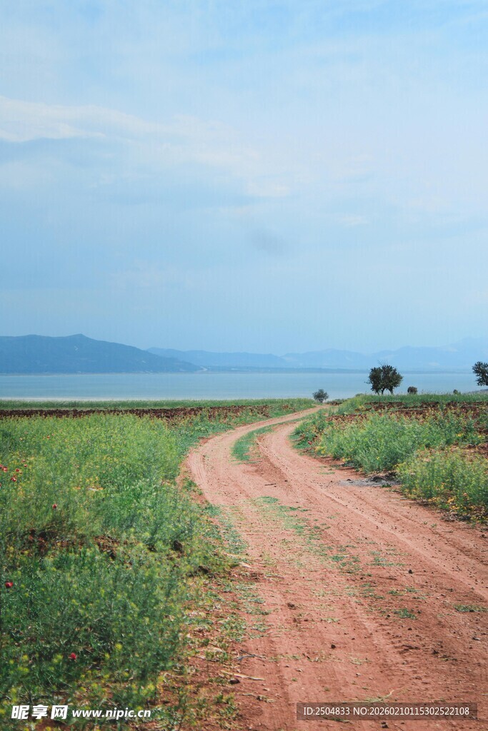 乡间土路 通往远方的风景