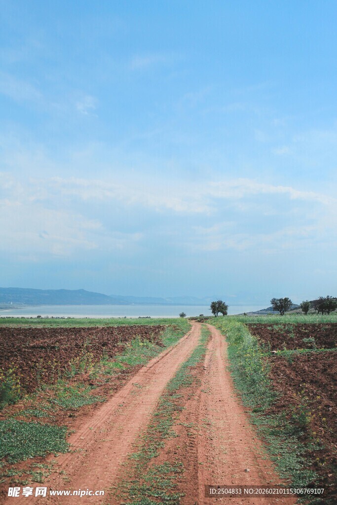 乡间土路延伸向远方