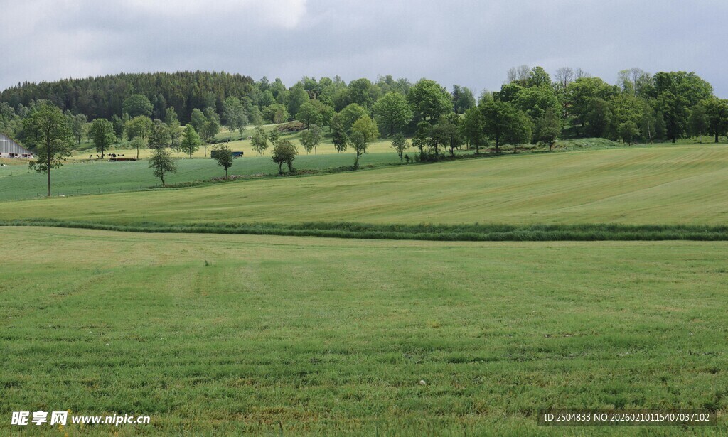 广袤绿野 清新田园风光