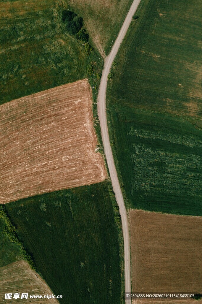 俯瞰田野间蜿蜒的小路