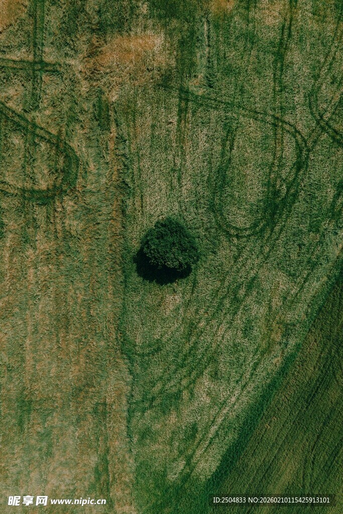 田野中的神秘黑色物体