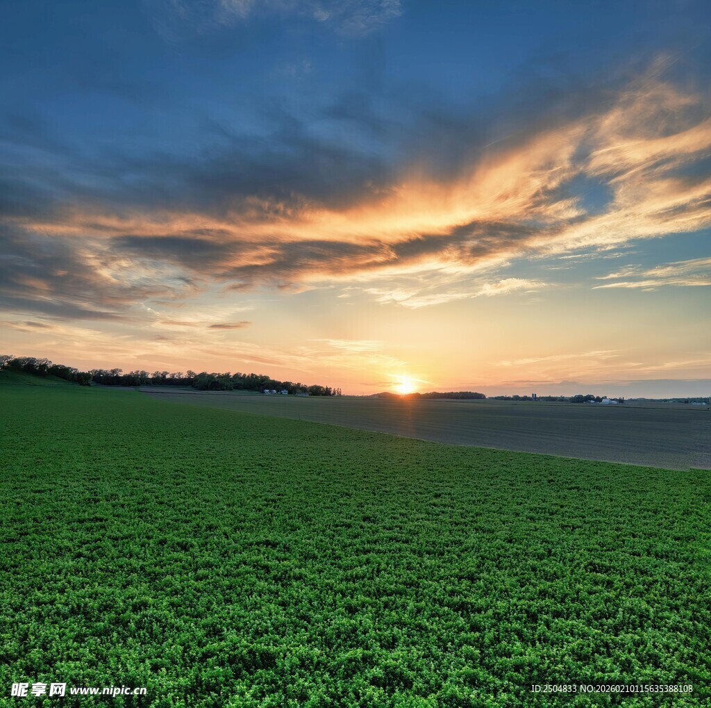 田野日落美景