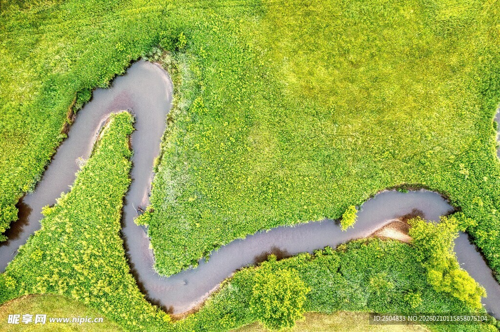 蜿蜒绿径 自然之美写照