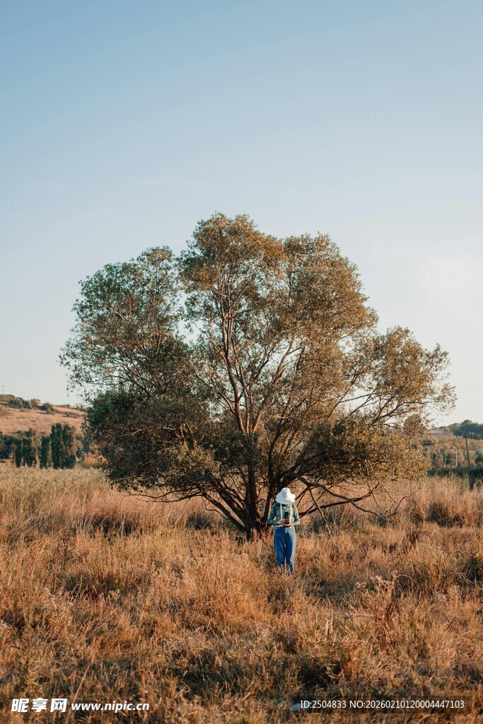旷野孤树下的独行者