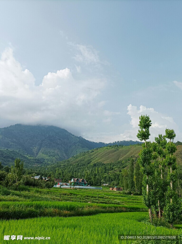 田园绿野间的秀丽风光
