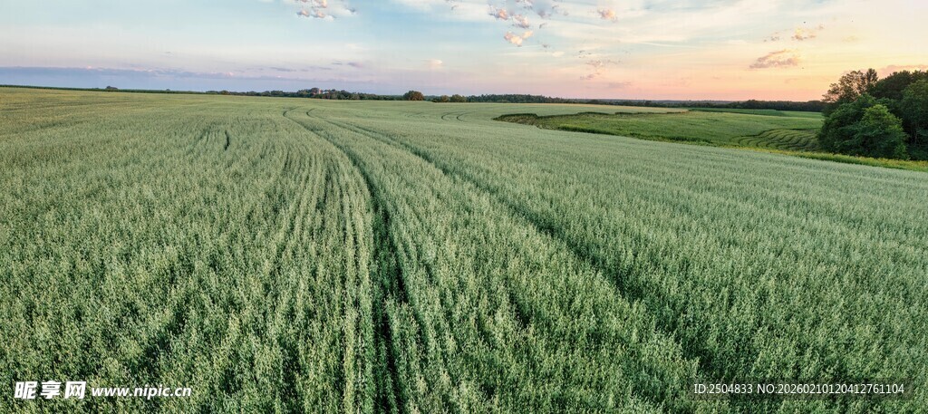 广袤田野上的美丽黄昏景色