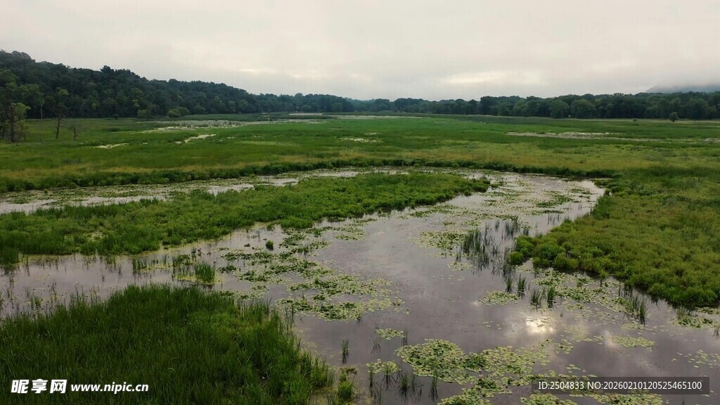湿地风光 自然生态美景