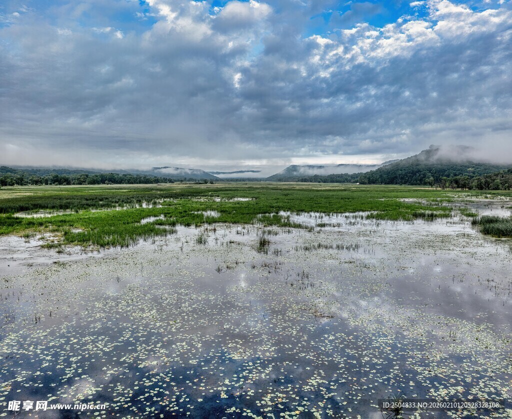 湿地风光 水草与蓝天相映