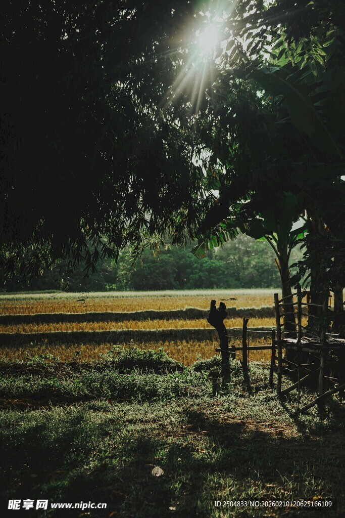 阳光洒落的田园木栅栏景