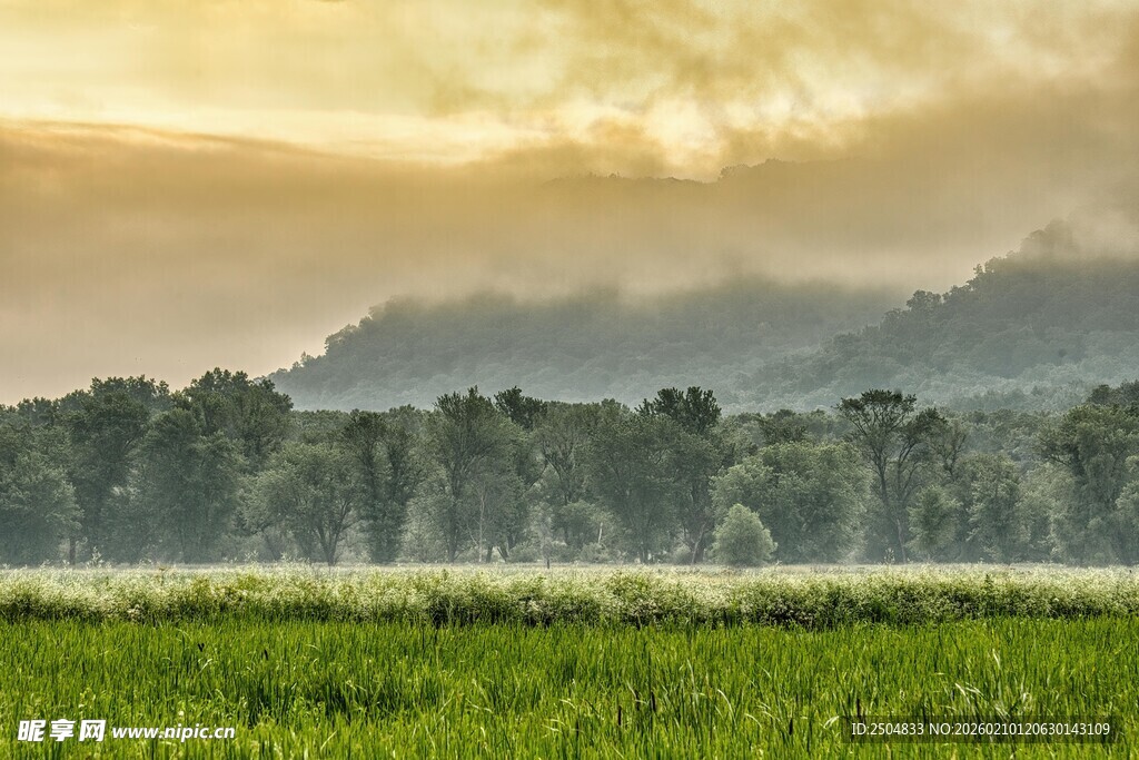 田园晨景 绿意盎然