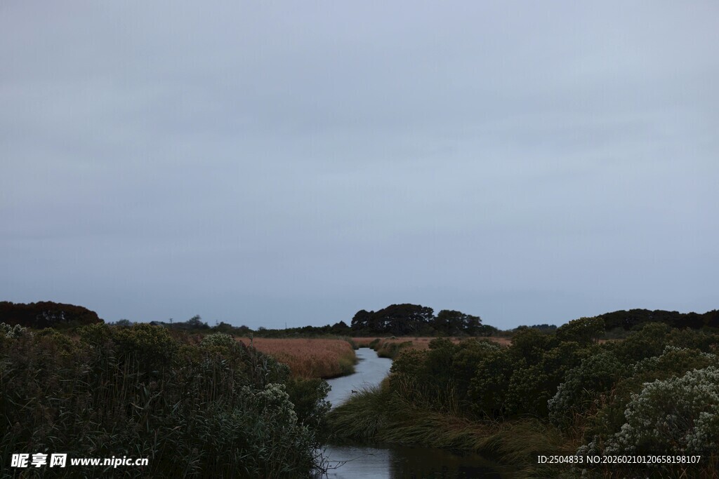 蜿蜒小路穿行于葱郁植被间