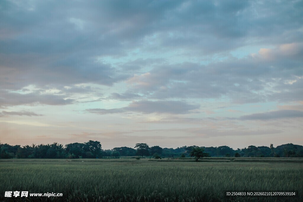 黄昏下的广袤田野景色