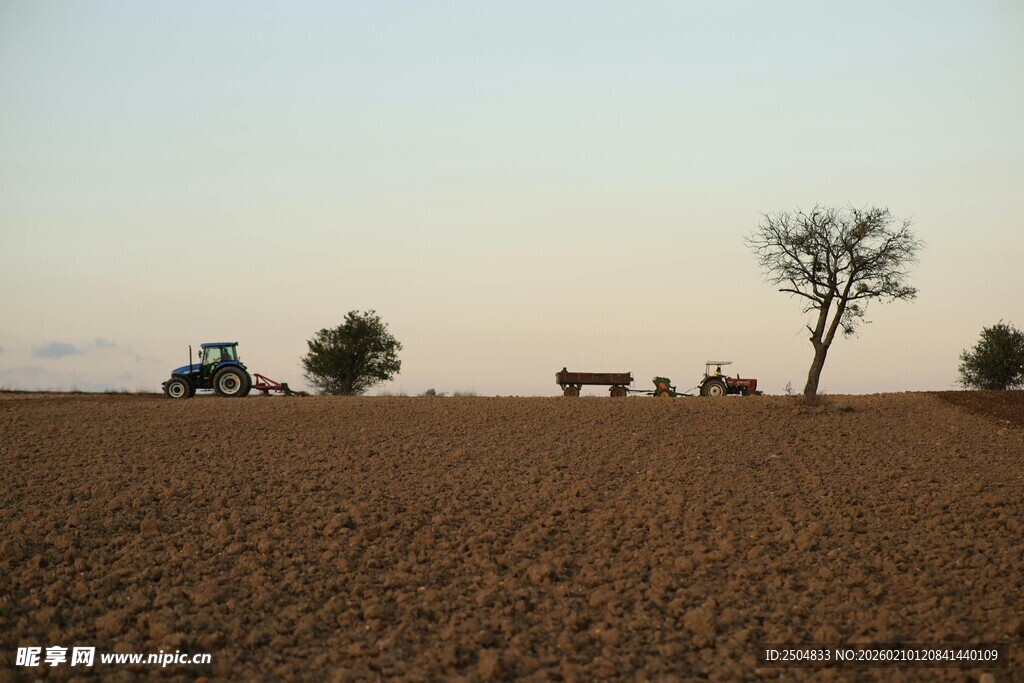 田野风光中的车辆与孤树