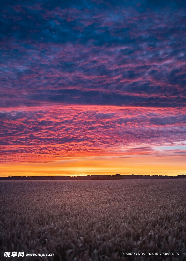 田野上的绚丽黄昏美景