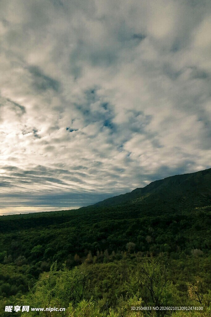 山间云海下的葱郁景致