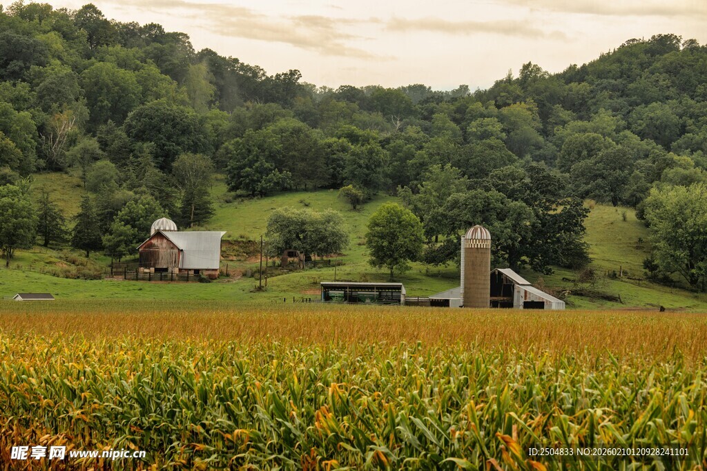 田园风光中的乡村景致