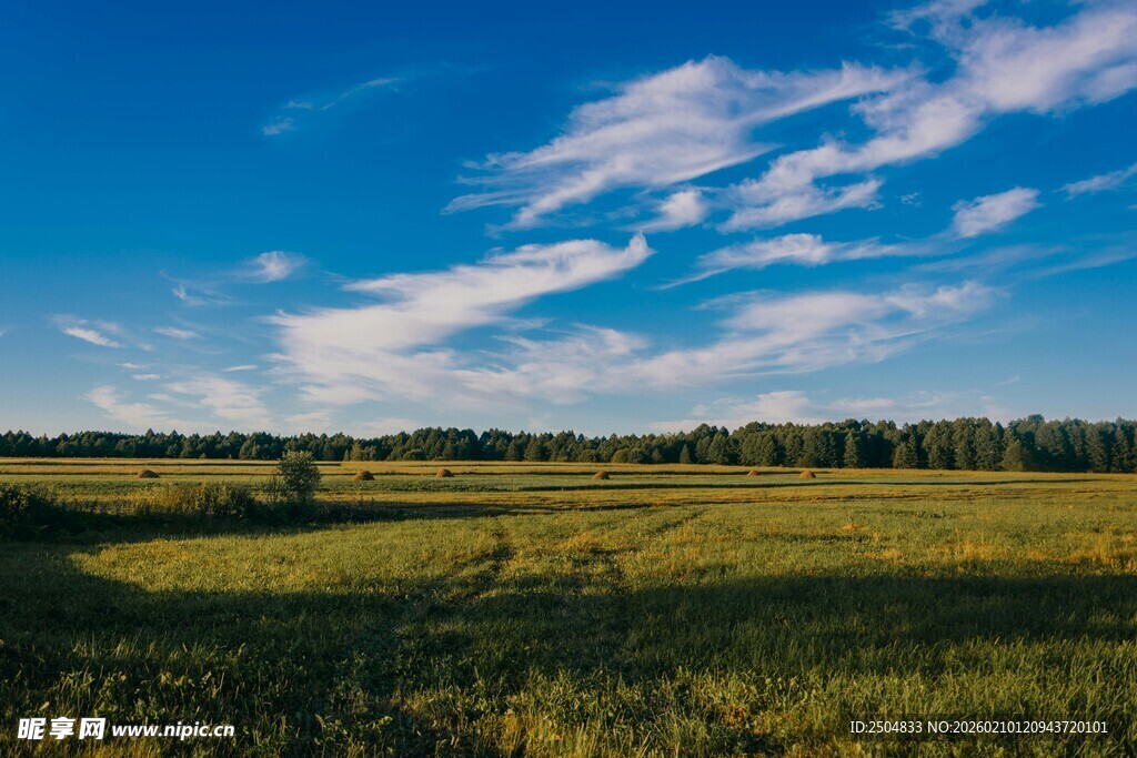 广阔田野与蓝天白云美景