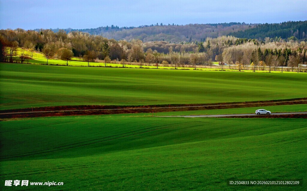 翠绿田野风光