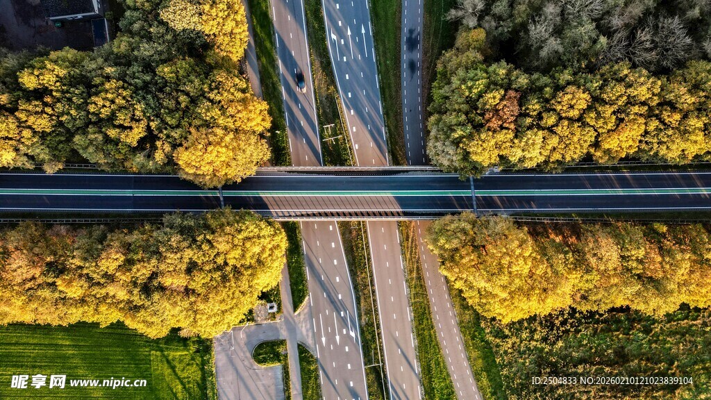 秋日高架桥畔斑斓景致