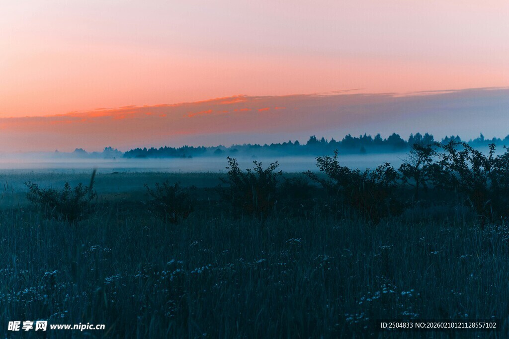 日出时分的田野与薄雾