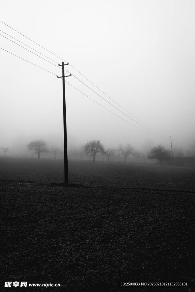 雾中田野与电线杆景象