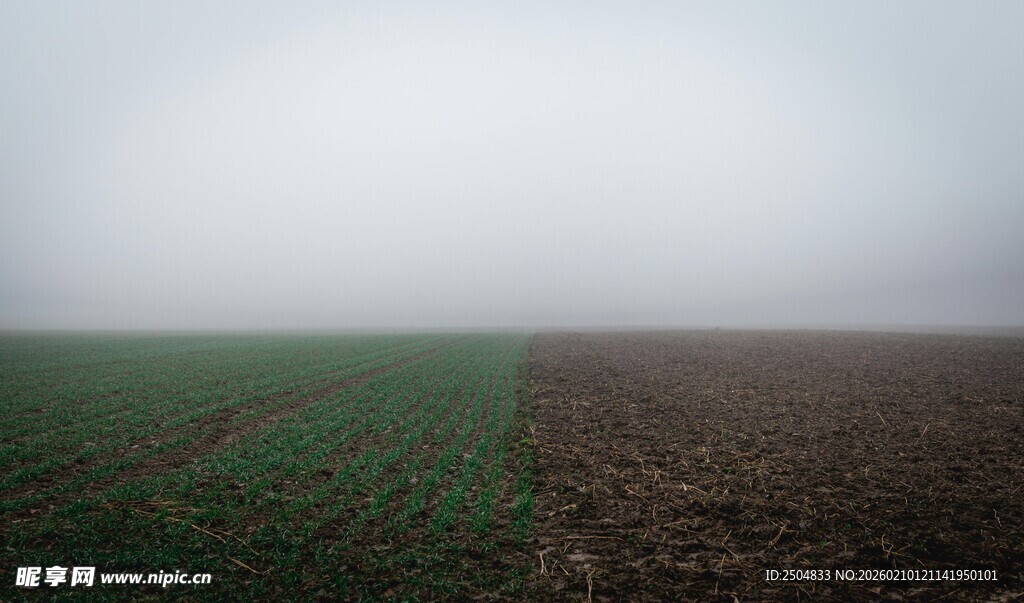 田野二分色景观