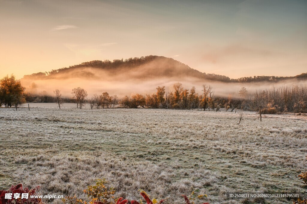 晨雾笼罩的田野美景
