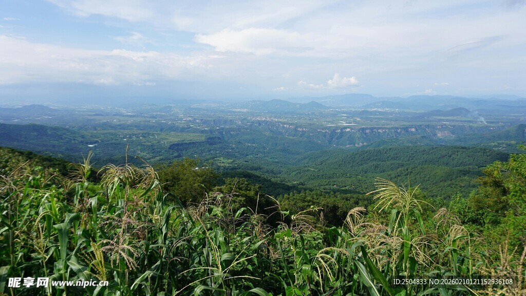 山顶眺望绿意盎然的景致