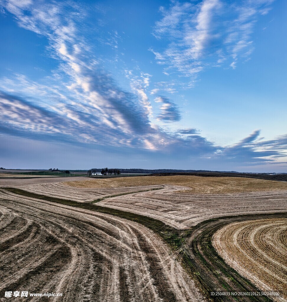 广袤田野与蓝天白云美景