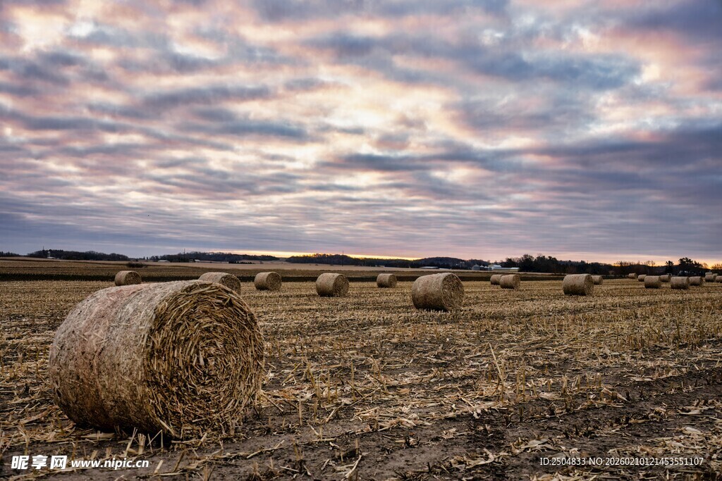 田野中的干草堆与天空