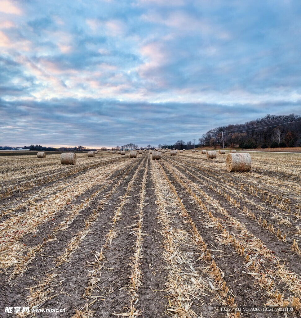 田野麦茬与天边的美丽云彩