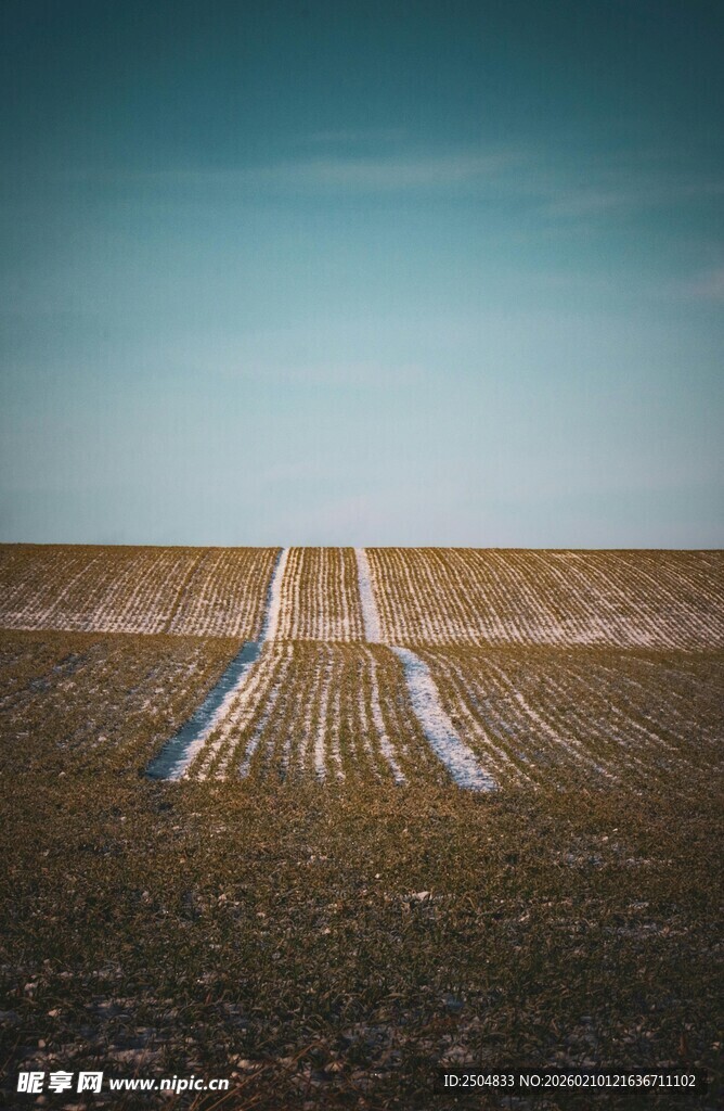 田野间的车辙痕迹