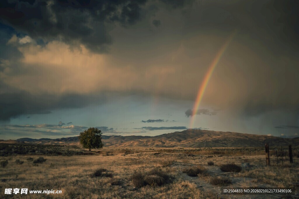  漠上空的绚丽彩虹