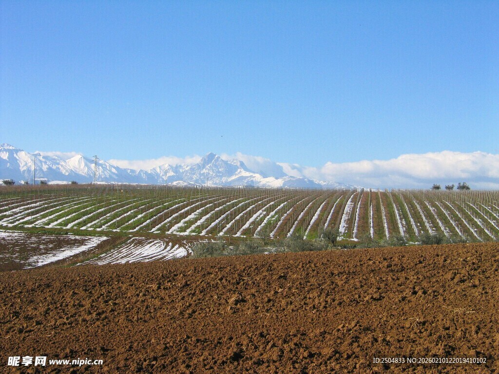 田野风光与远处雪山美景